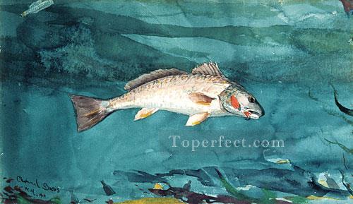 Channel Bass Realism marine painter Winslow Homer Oil Paintings